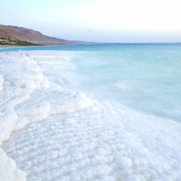 シアバターとククイナッツオイルで高保湿ケア。自然派コスメ「ラリン」からフェイスケア・アイテム3種が登場