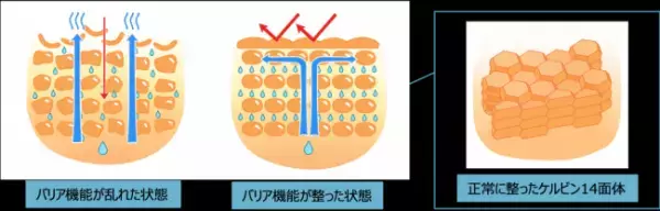 メイクオフをもっと楽しく。フェイスマスク発想の新クレンジング「ルルルン クレンジングシリーズ」登場