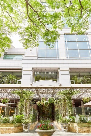 巨峰パンナコッタ、安納芋マカロンなど、ザ ストリングス 表参道の「ロイヤルバイオレット」アフタヌーンティ