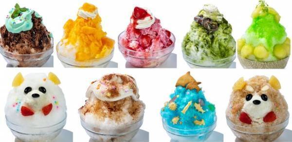 「1万匹の熱帯魚と楽しむかき氷」新宿駅直結のアクアリウムカフェがオープン