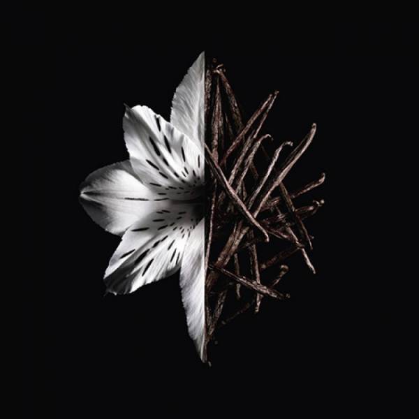 スリルを纏う禁断の香り。ジバンシイより「ランテルディ オーデパルファム インテンス」が9月4日より新発売