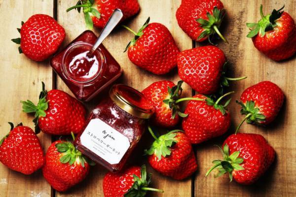 高級食パン専門店・嵜本、大阪梅田と福岡博多に新店舗をオープン! 翌日はちょっぴり贅沢な朝食に