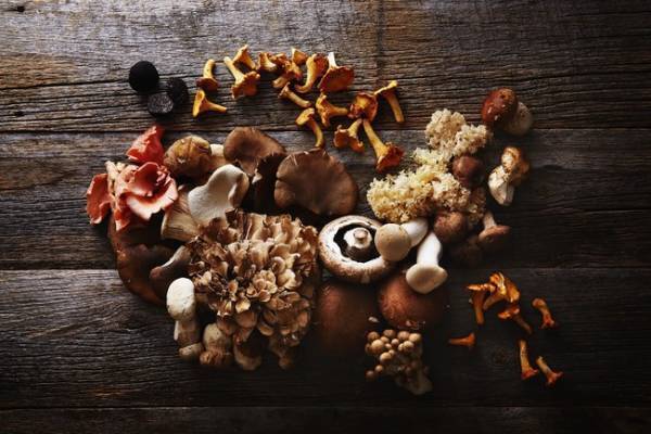 国産の茸とイタリア産ポルチーニ茸を堪能。アマン東京のイタリアンレストランで「マッシュルームフェア」を開催