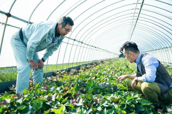 熟成炭火焼き蜜芋スイーツ専門店「& OIMO TOKYO」がローンチ。 新宿高島屋にて先行販売も