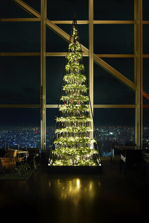 煌めくホリデーシーズンを上質な美味とともに。パーク ハイアット 東京のクリスマスケーキ&ディナー