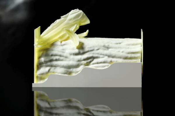 煌めくホリデーシーズンを上質な美味とともに。パーク ハイアット 東京のクリスマスケーキ&ディナー