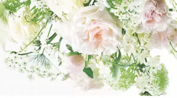 ジルスチュアート ビューティからホワイトフローラルの香りの新ライフスタイルアイテムを発売