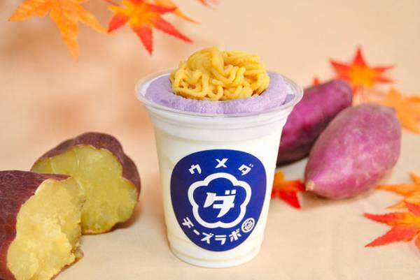 大丸梅田店ウメダチーズラボのスプーンで食べるチーズケーキに初の季節限定フレーバー「かぼちゃ」が登場