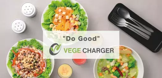 VEGE CHARGER