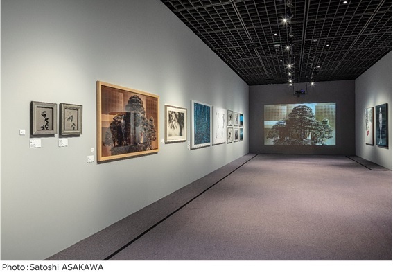 100人の写真家が好奇心を揺さぶる展覧会「東京好奇心 2020 渋谷」がBunkamuraで開催