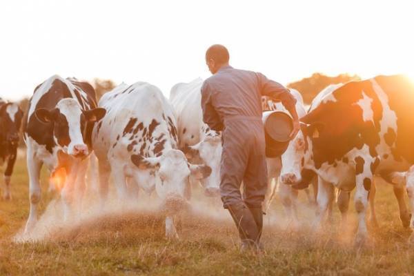 ベイユヴェールから冬季限定のフレーバー「スフレバーガー・フロマージュ・マロン」が登場