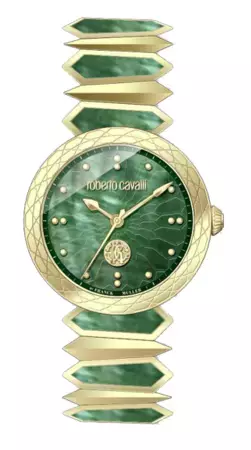 ロベルト・カヴァリ by フランク・ミュラーから日本限定モデルを含む5つの新作コレクションを発売