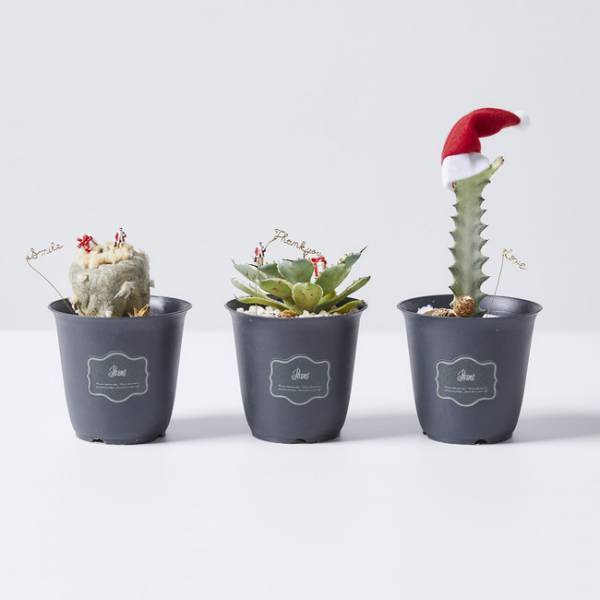 おうちで過ごすクリスマスに欠かせないクリスマスアイテムを伊勢丹新宿店に探しに行こう!