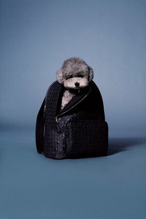 ダンヒルからギフトシーズンに向けた新しいレザーグッズ コレクションが登場