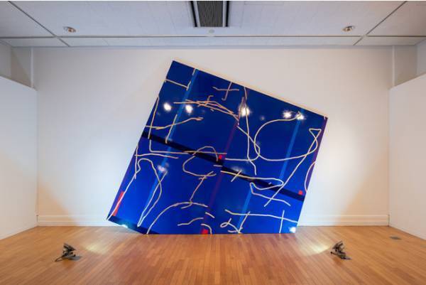 寺田倉庫が現代アートのコレクターズミュージアム「WHAT」オープニングの展覧会を発表