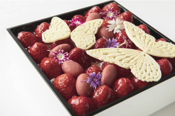 シュタイフのテディベアモチーフがお出迎え。ザ・プリンスギャラリー 東京紀尾井町のクリスマスケーキ