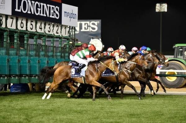 2021年こそはと願いを込めて! ドバイ政府観光・商務局がおすすめする「ドバイに旅したくなる21の理由」