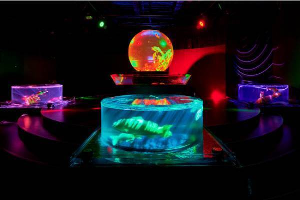 クリスマスはお酒を片手に作品鑑賞! アートアクアリウム美術館がクリスマスシーズン限定イベントを開催