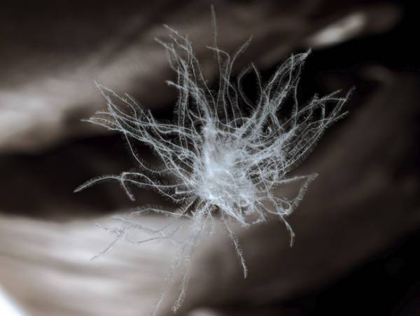 デンマークのアウトドアブランド「イエティ」が伊勢丹新宿店メンズ館でポップアップイベントを開催