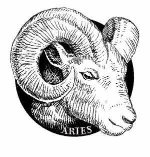 2021年上半期&ウィークリー星座占いのイラストがリニューアル! INEMOUSEが描く、美しきアステリズム