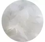 カナダグースから最もサスティナブルなパーカが登場! 100％責任ある調達による原材料を使用