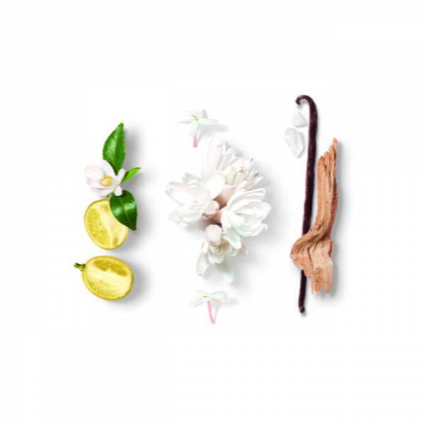 アルマーニ ビューティから新しい時代の女性像を体現したフレグランス「マイ ウェイ」が新登場