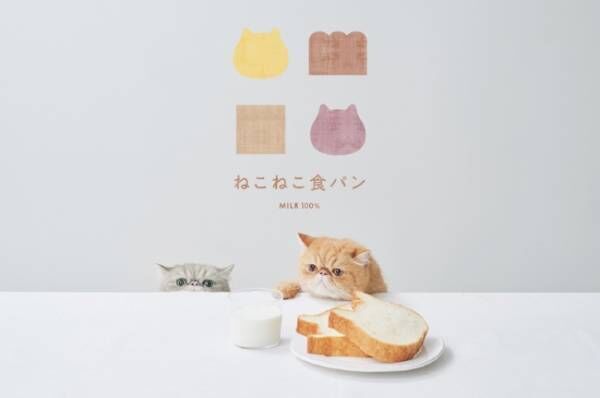 ねこねこ食パンの「東京ねこねこ」が東京駅に出店! 東京駅でしか買えない『ねこねこジャムパン』も登場
