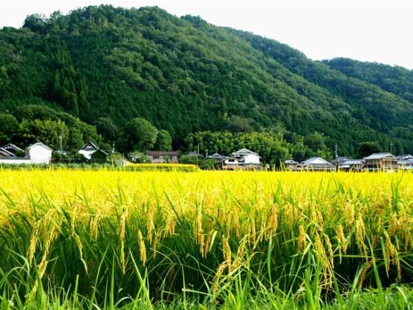 重要伝統建造物群でもある福住宿場町。日本の原風景ともいえる豊かな田園が広っています。