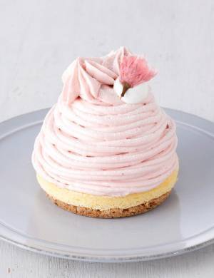 パティスリー キハチから桜の季節だけ楽しめる、春限定の桜づくしモンブラン&ロールケーキが登場