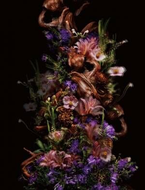 東信が表現したメゾン クリスチャン ディオールの香りの世界。花への情熱と香りの芸術を感じさせる美しいコラボレーション