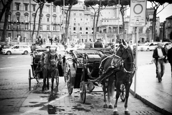 写真家・笠原秀信による旅をテーマにしたオンラインExhibition「THE ROAD」。第6弾はイタリア・ローマ（後編）