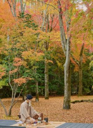 洛北に息づく森の庭と美学が結集。アマン京都で茶人・天江大陸によるプライベート野点体験