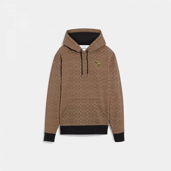 コーチのアイコンキャラクター 恐竜のレキシーがポップなデザインと豊富なバリエーションで登場