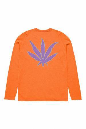 ルシアン ペラフィネがカシミアのオーダーサービス拡大、ゴルフラインLPFGも好調