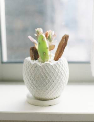 Our Photos Story【 ふれて愛を_vol.9 】photographers : KOBA