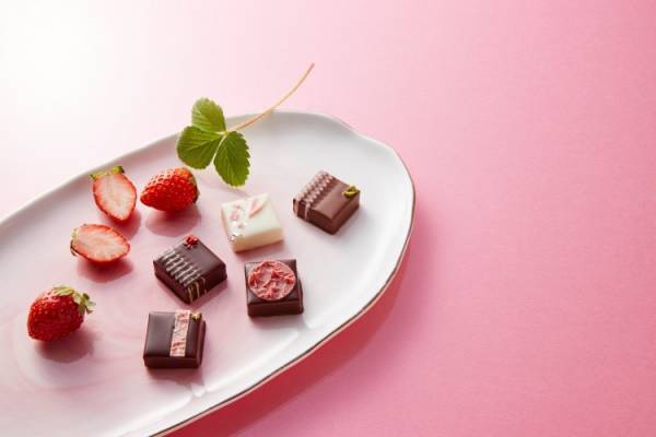 ショコラティエ パレドオールのいちごを楽しむチョコレートパフェ