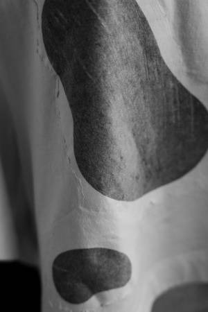 Y'sが創業350周年を迎える三越を象徴する包装紙デザイン「華ひらく」を表現した特別なアイテムを発売