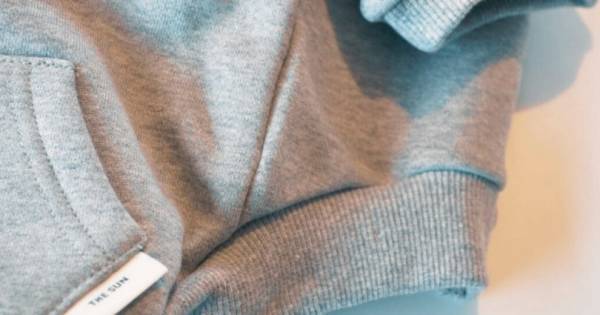 愛犬がストレスなくアクティブに動けるアイテムをセレクト! 犬服・ドッグウエアブランド「THE SUN（ザ サン）」