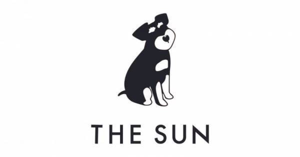 愛犬がストレスなくアクティブに動けるアイテムをセレクト! 犬服・ドッグウエアブランド「THE SUN（ザ サン）」