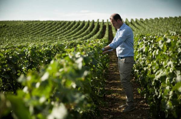 韓国で人気の本格シャンパン「GoldenBlanc」が日本上陸。220年の歴史を誇るフランスのヴォルローで生産
