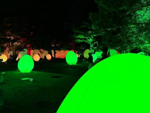 夜の金沢城が光のアート空間に。チームラボが「金沢城 光の祭」を開催