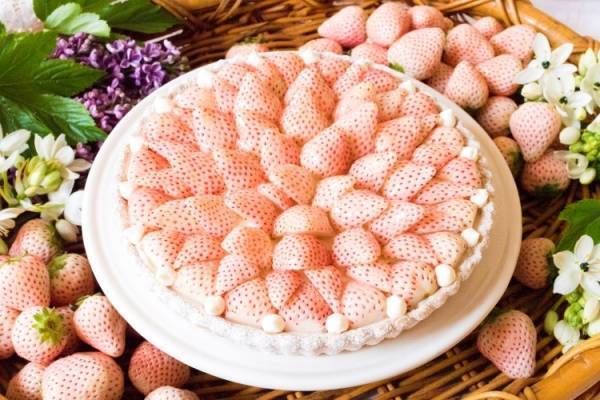 フルーツで彩った華やかなケーキ。タルト専門店「キル フェ ボン」が贈るクリスマス期間限定メニュー