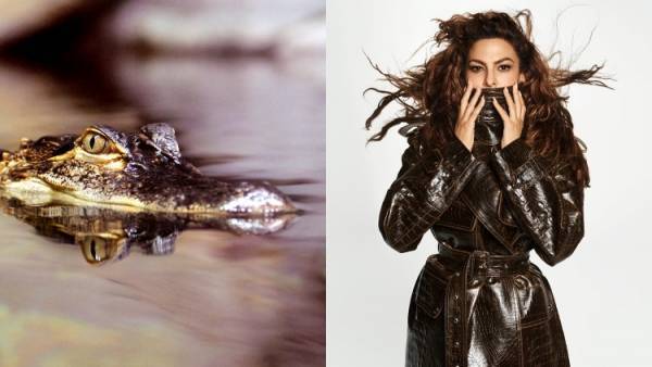 ステラマッカートニーが2024年ウィンターキャンペーンを発表。エヴァ メンデスとRAYE（レイ）を起用