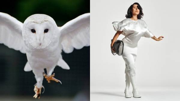 ステラマッカートニーが2024年ウィンターキャンペーンを発表。エヴァ メンデスとRAYE（レイ）を起用