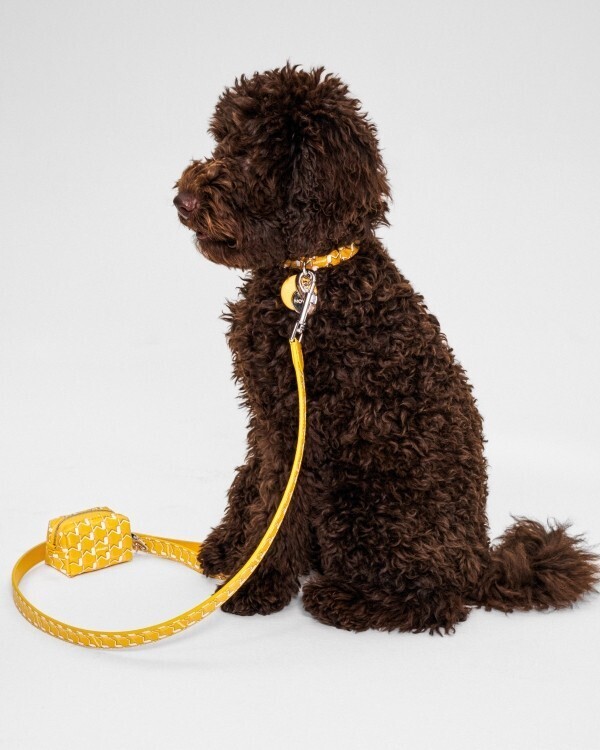 モワナがアイコン「M」キャンバスで初のペットアクセサリーコレクションを展開。伊勢丹新宿店で限定ポップアップ開催