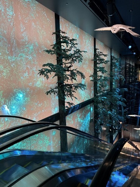 原宿に日本初の旗艦店「ハリー・ポッター ショップ」が誕生。魔法とカルチャーが交差する新拠点