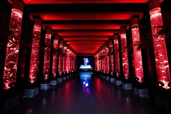アートアクアリウム美術館GINZAが夏の特別企画を開催中。隈研吾と描く“金魚の石庭”から進化した光のアート