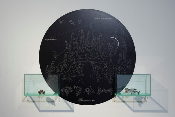 TERRADA ART AWARD 2025、審査員賞が決定──天王洲で開かれるファイナリスト展が示す、いまの表現の現在地