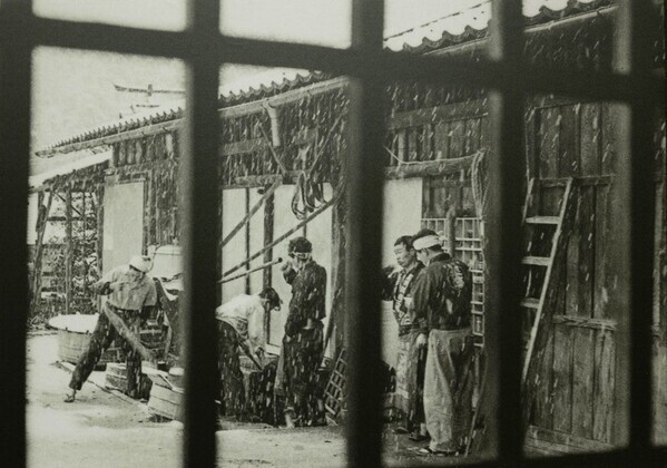 冬に仕込む理由 ― 日本酒「寒仕込み」と小澤酒造の酒造り