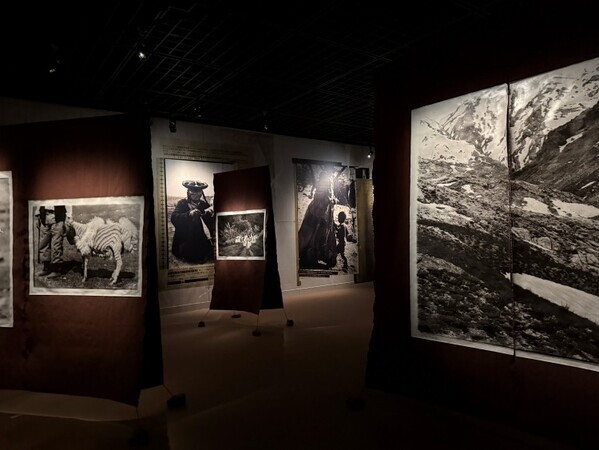 高木由利子、東京の美術館で初個展「Threads of Beauty 1995-2025」──Bunkamuraザ・ミュージアム最後の展覧会として開催